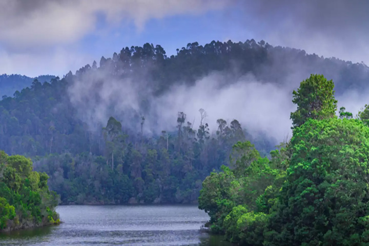 Berijam Lake, Kodaikanal - Dindigul to Kodaikanal - Trips of Karthi Travels