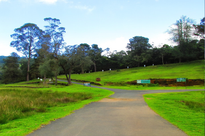 Berijam Lake, Kodaikanal - Dindigul to Kodaikanal - Trips of Karthi Travels