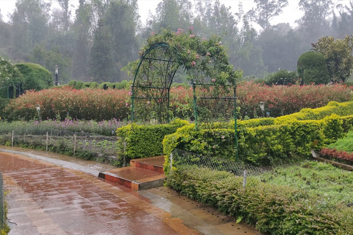 Bryant Park, Kodaikanal - Dindigul to Kodaikanal - Trips of Karthi Travels