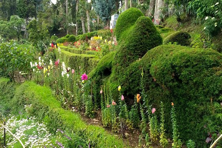 Chettiar Park, Kodaikanal - Dindigul to Kodaikanal - Trips of Karthi Travels