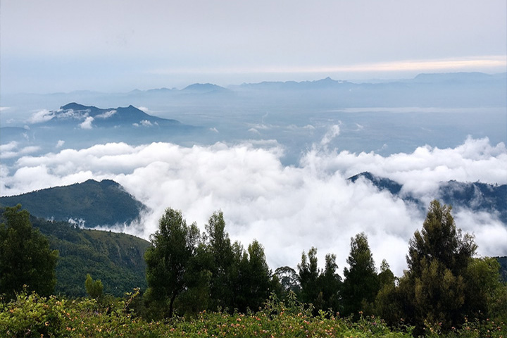 Coaker's Walk, Kodaikanal - Dindigul to Kodaikanal - Trips of Karthi Travels
