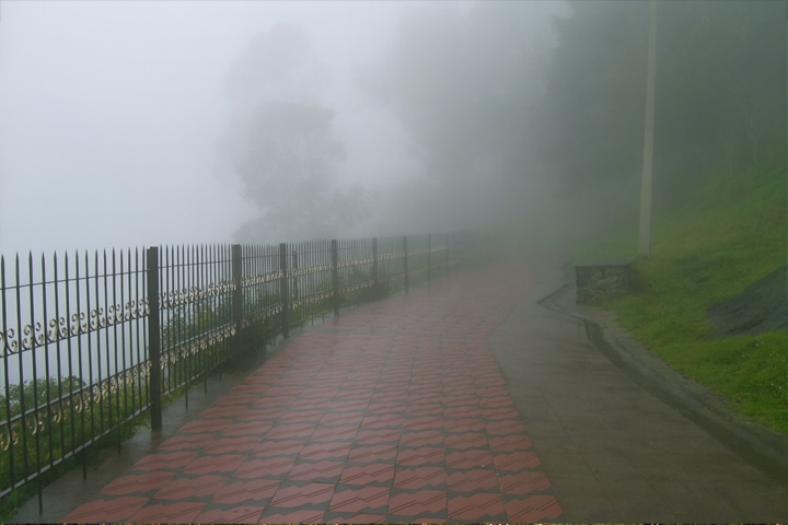 Coaker's Walk, Kodaikanal - Dindigul to Kodaikanal - Trips of Karthi Travels