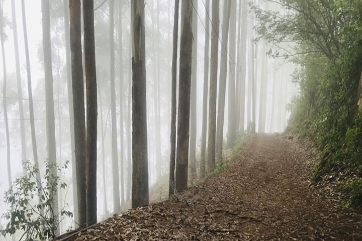 Dolphin Nose, Kodaikanal - Dindigul to Kodaikanal - Trips of Karthi Travels