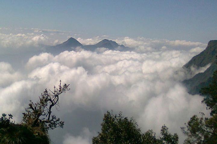 Green Valley View, Kodaikanal - Dindigul to Kodaikanal - Trips of Karthi Travels