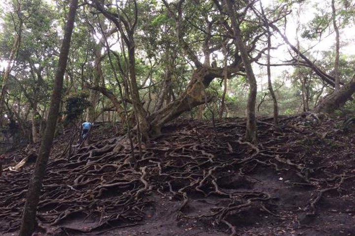 Guna Caves, Kodaikanal - Dindigul to Kodaikanal - Trips of Karthi Travels