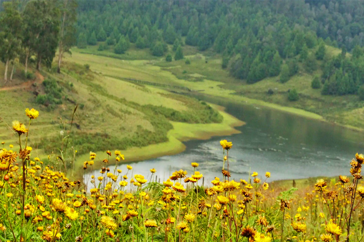 Mannavanur Lake, Kodaikanal - Dindigul to Kodaikanal - 
                                    Trips of Karthi Travels