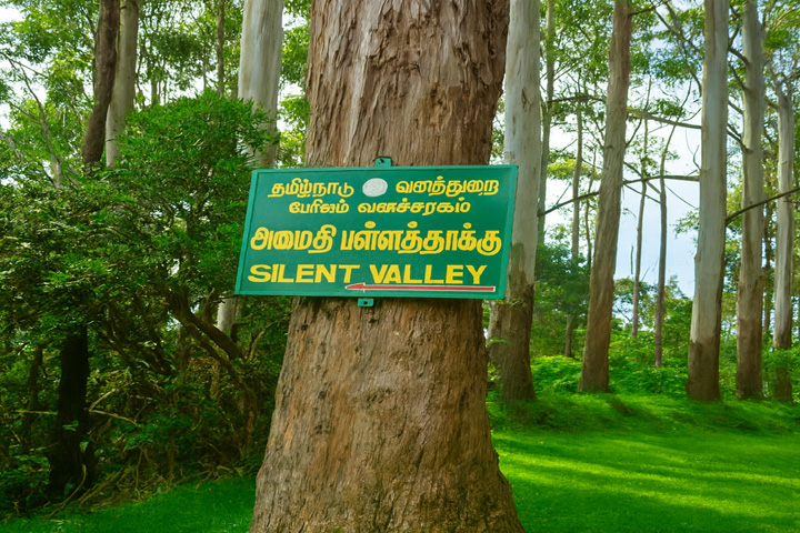 Silent Valley View, Kodaikanal - Dindigul to Kodaikanal - Trips of Karthi Travels