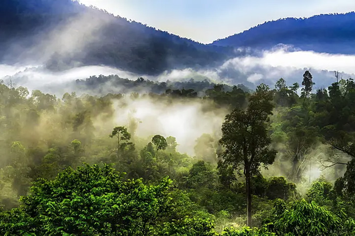 Silent Valley View, Kodaikanal - Dindigul to Kodaikanal - Trips of Karthi Travels