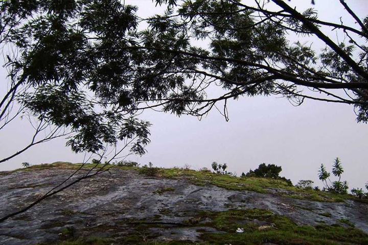 Silent Valley View, Kodaikanal - Dindigul to Kodaikanal - Trips of Karthi Travels
