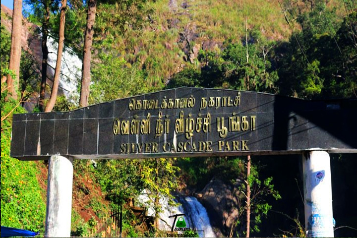 Silver Cascade Falls, Kodaikanal - Dindigul to Kodaikanal - 
                                        Trips of Karthi Travels