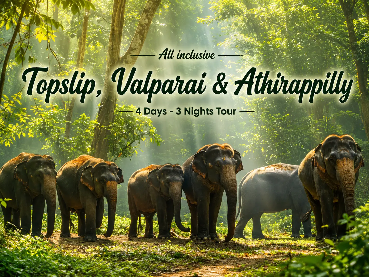 Topslip, Valparai & Athirappilly All-Inclusive Tour - Karthi Travels