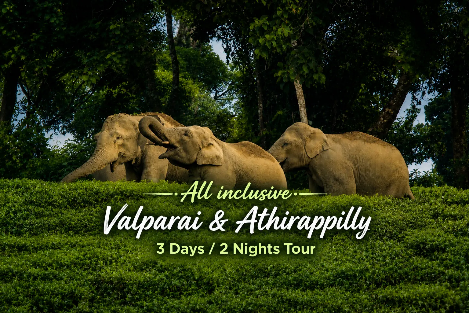 Valparai & Athirappilly