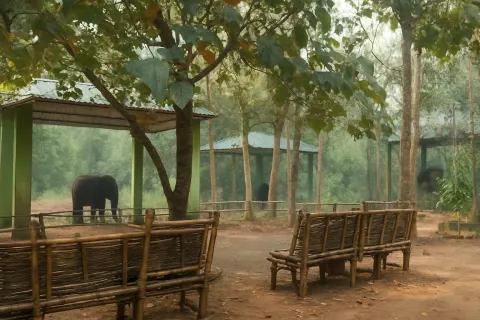 Kodanad Elephant Training Centre in Athirappilly - tourist attraction to visit with Karthi Travels