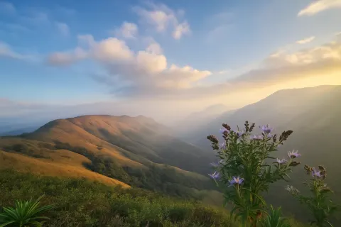 Plan your trip to Devaramane in Chikmagalur with Karthi Travels® - View 2