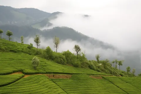 Plan your trip to Hidden Valley in Coonoor with Karthi Travels® - View 3