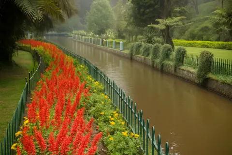 Plan your trip to Sim's Park in Coonoor with Karthi Travels® - View 4