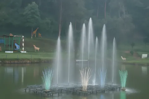 Plan your trip to Wellington in Coonoor with Karthi Travels® - View 4