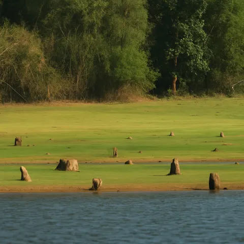 Plan your trip to Nagarhole National Park in Coorg with Karthi Travels® - View 2