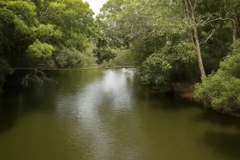 Nisargadhama in Coorg - tourist attraction to visit with Karthi Travels