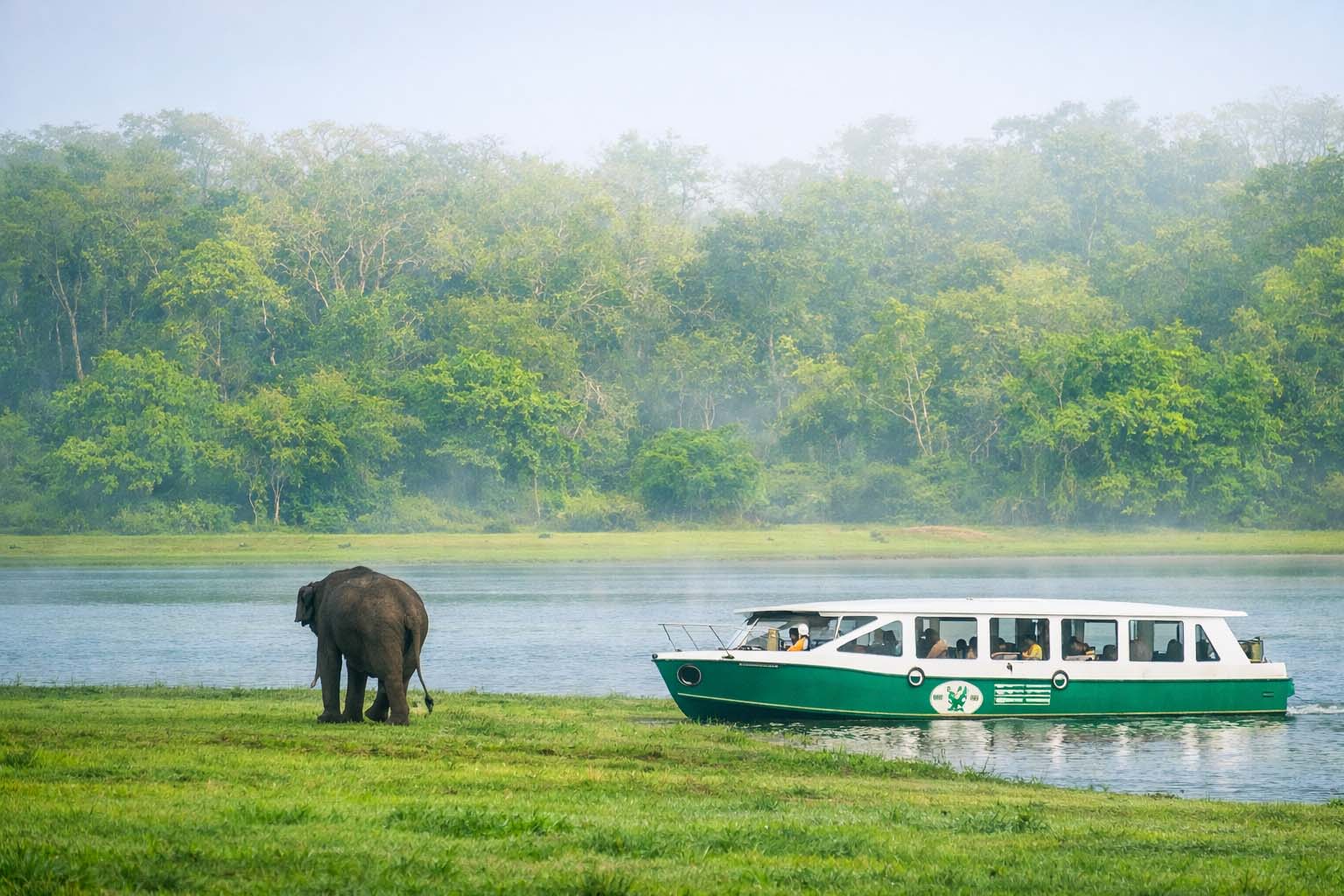 Kabini
