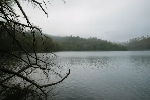 Plan your trip to Berijam Lake in Kodaikanal with Karthi Travels® - View 3