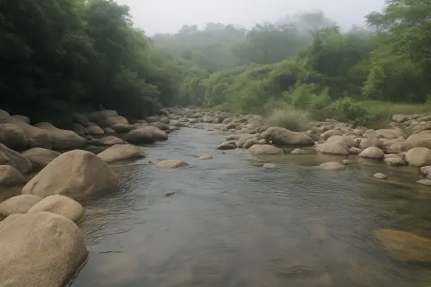 Puliancholai in Kolli Hills - tourist attraction to visit with Karthi Travels