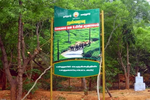 Plan your trip to Megamalai Wildlife Sanctuary in Megamalai with Karthi Travels® - View 4