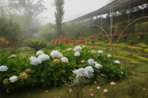 Plan your trip to Blossom International Park in Munnar with Karthi Travels® - View 4