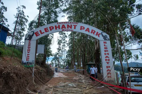 Carmelagiri Elephant Park in Munnar - tourist attraction to visit with Karthi Travels