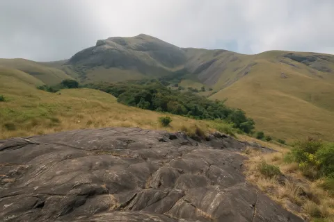 Plan your trip to Eravikulam National Park in Munnar with Karthi Travels® - View 2