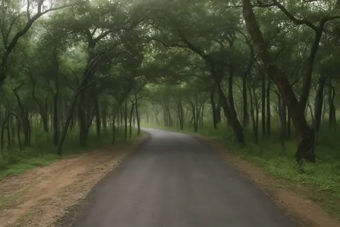 Plan your trip to Marayoor Sandalwood Forest in Munnar with Karthi Travels® - View 2