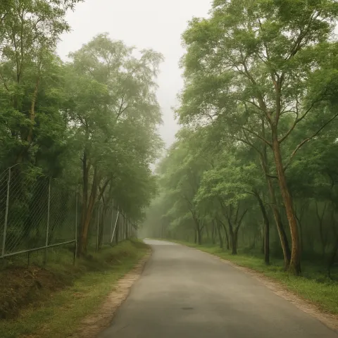 Plan your trip to Marayoor Sandalwood Forest in Munnar with Karthi Travels® - View 4