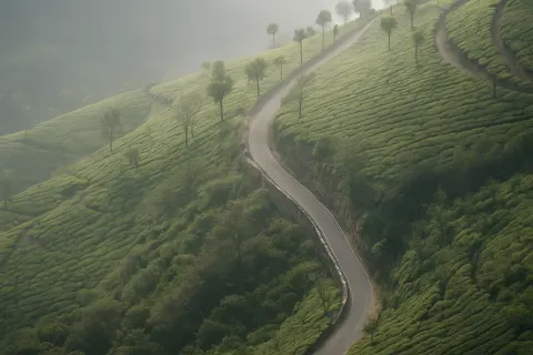Plan your trip to Pothamedu Viewpoint in Munnar with Karthi Travels® - View 4
