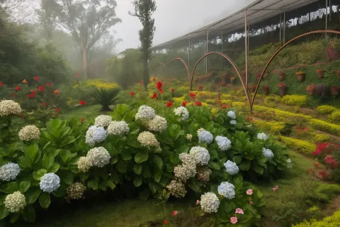 Rose Garden Munnar in Munnar - tourist attraction to visit with Karthi Travels