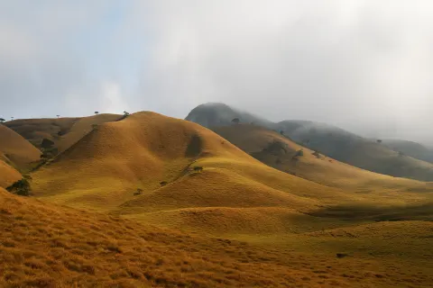 Mukurthi National Park in Ooty - tourist attraction to visit with Karthi Travels