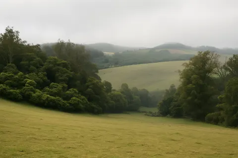 Plan your trip to Wenlock Downs in Ooty with Karthi Travels® - View 4