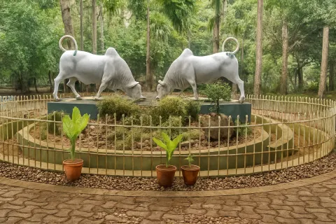 Plan your trip to Botanical Garden in Puducherry with Karthi Travels® - View 2