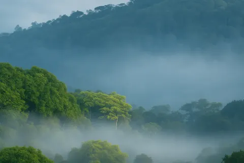 Plan your trip to Pandikuzhi in Thekkady with Karthi Travels® - View 2