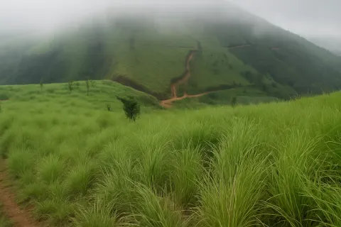 Plan your trip to Uluppuni Top Station in Vagamon with Karthi Travels® - View 2