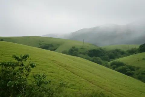 Vagamon Meadows in Vagamon - tourist attraction to visit with Karthi Travels