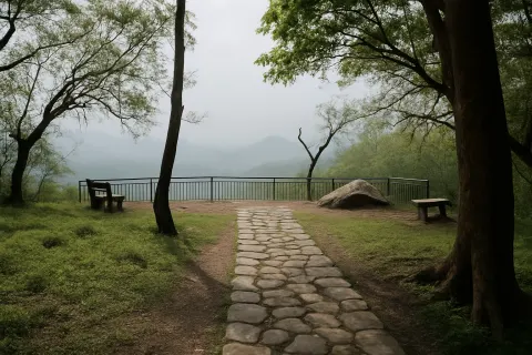 Hornbill View Point & Jungle Walk in Valparai - tourist attraction to visit with Karthi Travels