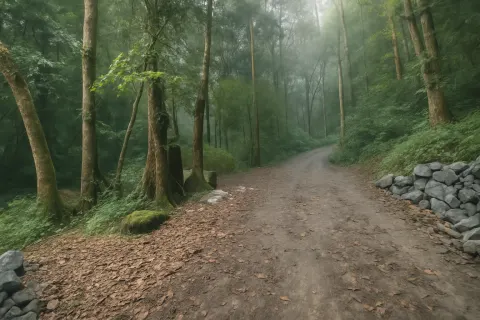 Plan your trip to Hornbill View Point & Jungle Walk in Valparai with Karthi Travels® - View 2