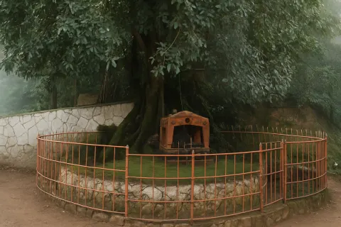 Plan your trip to Chain Tree (Karinthandan Temple) in Wayanad with Karthi Travels® - View 4