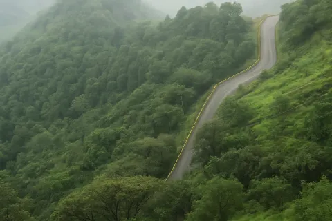 Plan your trip to Lakkidi View Point in Wayanad with Karthi Travels® - View 3
