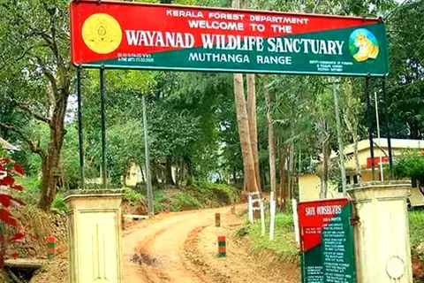 Muthanga Wildlife Sanctuary in Wayanad - tourist attraction to visit with Karthi Travels