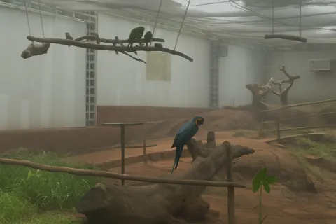 Plan your trip to Fundera Park - Birds Park in Yelagiri with Karthi Travels® - View 3