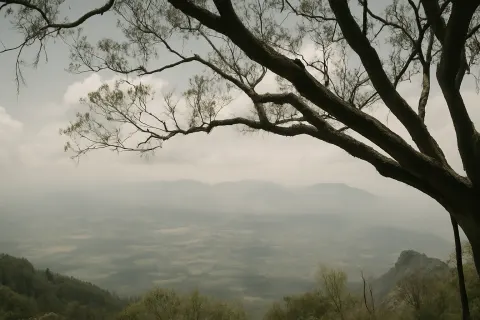 Pagoda Point in Yercaud