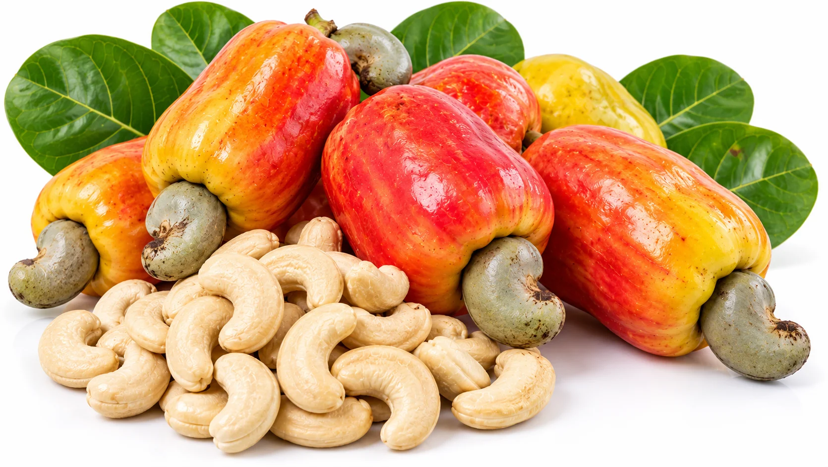 Panruti Cashew