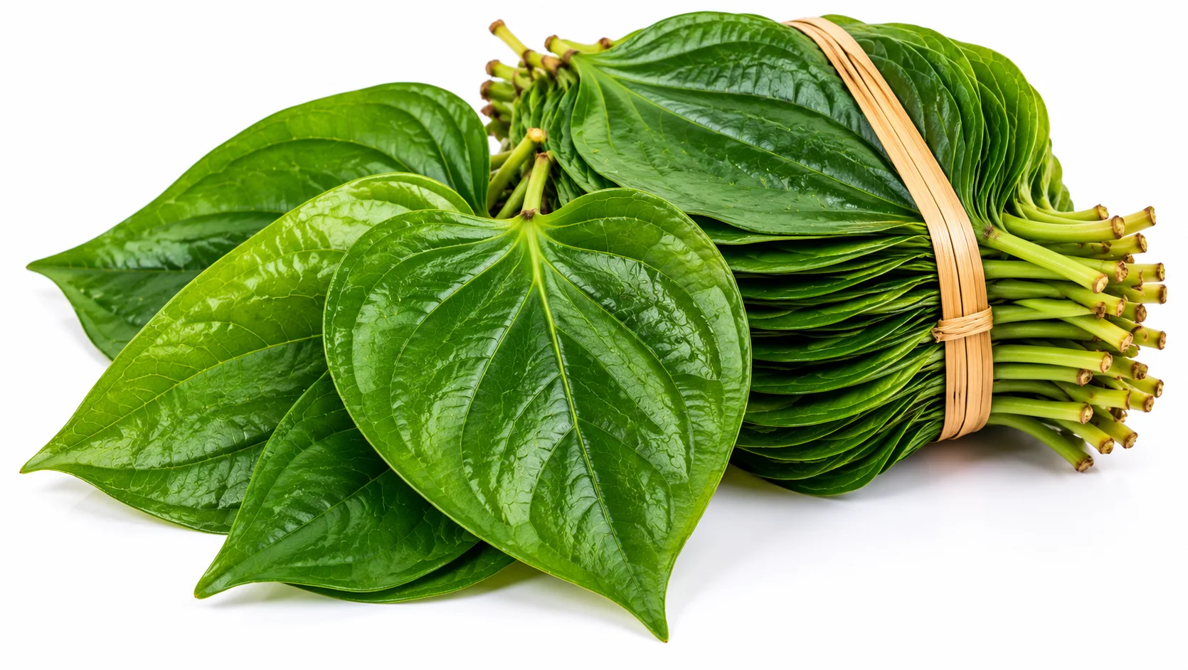 Sholavandan Vetrilai
