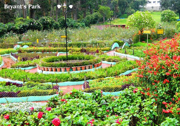 Bryants Park, Kodaikanal - Karthi Travels® | Kanchipuram - Kodaikanal Tour